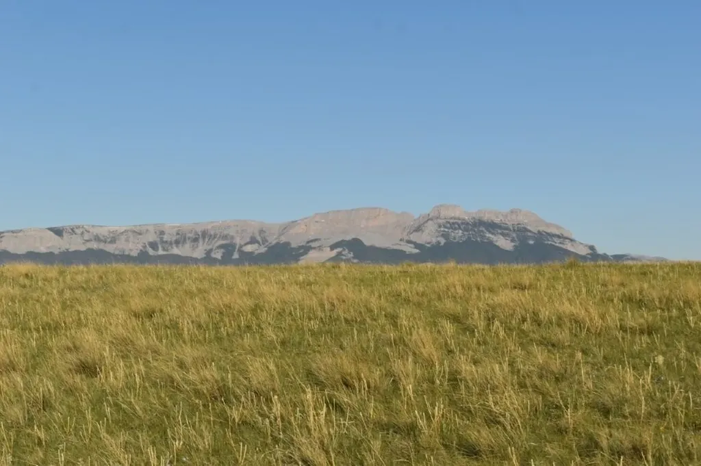 Lot 50 Meadowlark Lane Augusta MT 59410