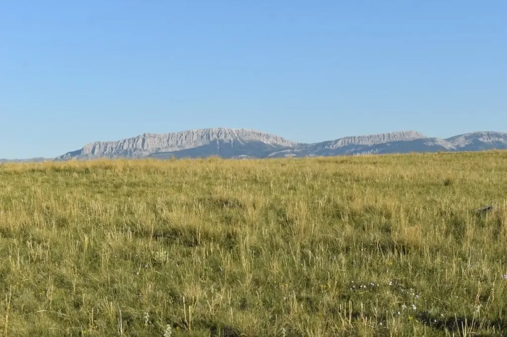 Lot 50 Meadowlark Lane Augusta MT 59410