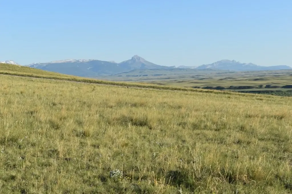 Lot 50 Meadowlark Lane Augusta MT 59410