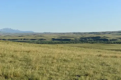Lot 50 Meadowlark Lane Augusta MT 59410
