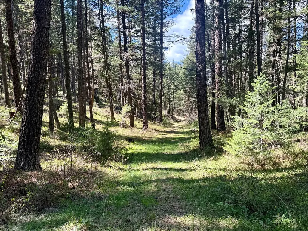 2100 Bear Acres Road Potomac MT 59823