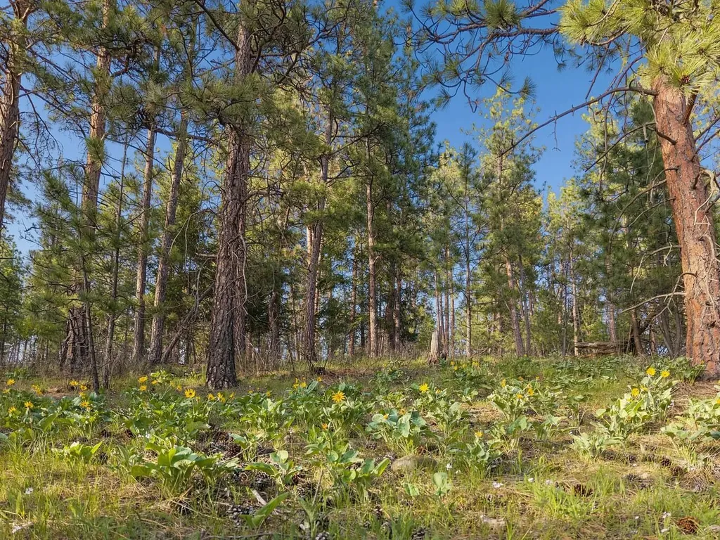 Nhn Finley Point Road Polson MT 59860
