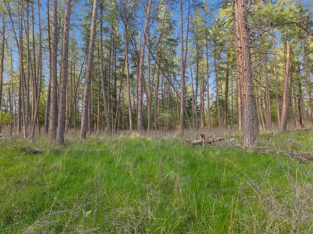 Nhn Finley Point Road Polson MT 59860