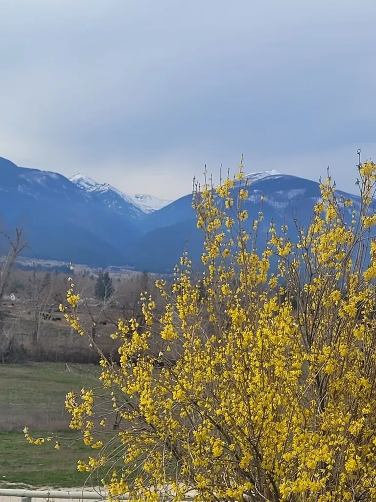 4721 Teddy Bear Lane Stevensville MT 59870