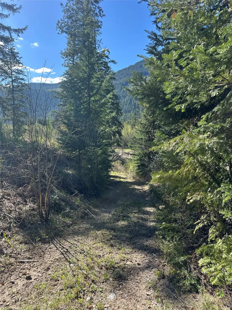 57 Hope Valley Road Trout Creek MT 59874