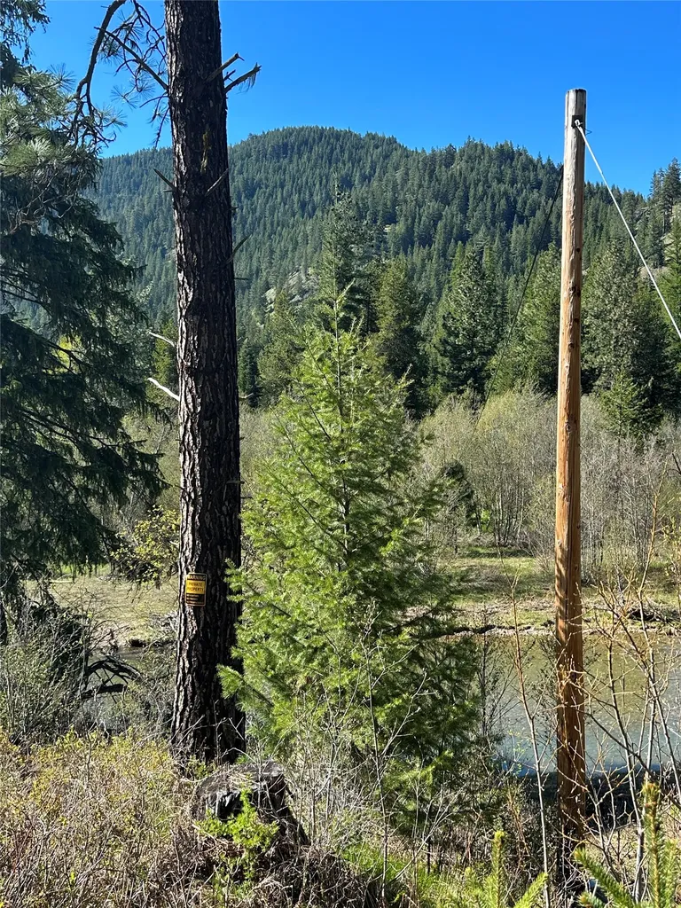 57 Hope Valley Road Trout Creek MT 59874