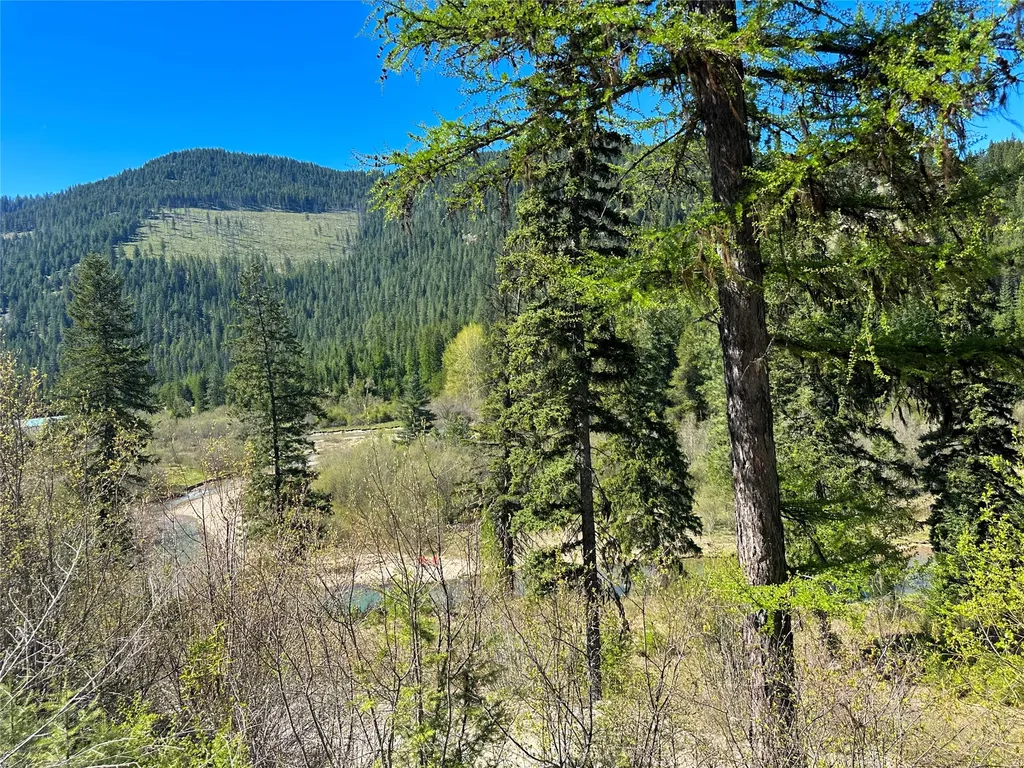 57 Hope Valley Road Trout Creek MT 59874