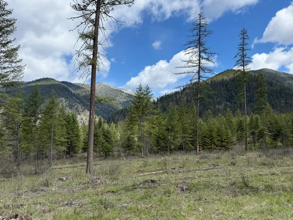 47 Dickson Drive Thompson Falls MT 59873