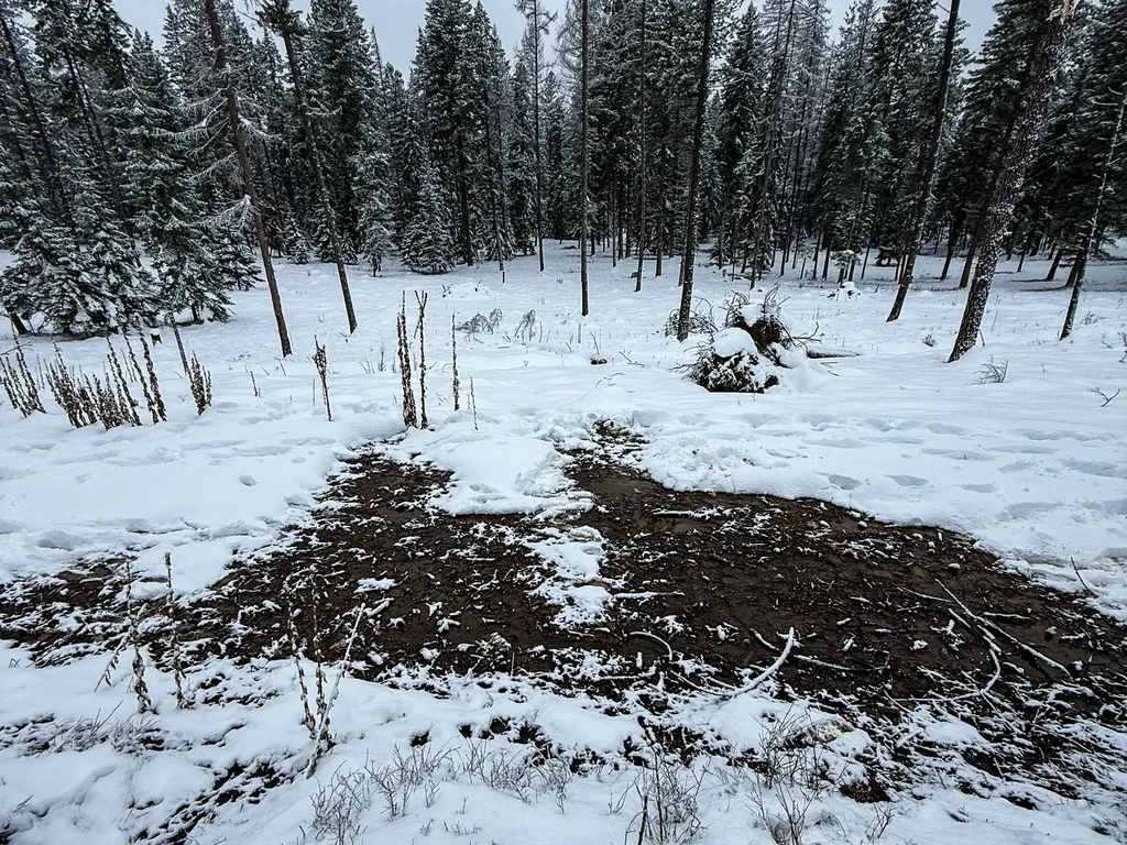 47 Dickson Drive Thompson Falls MT 59873