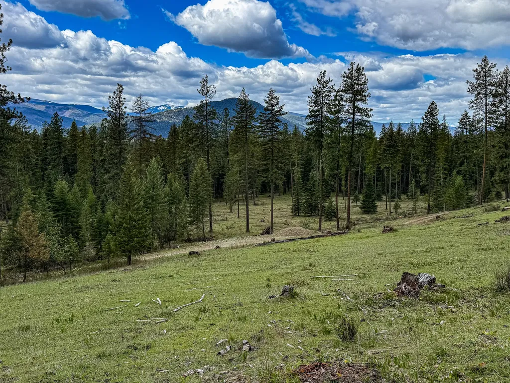 47 Dickson Drive Thompson Falls MT 59873