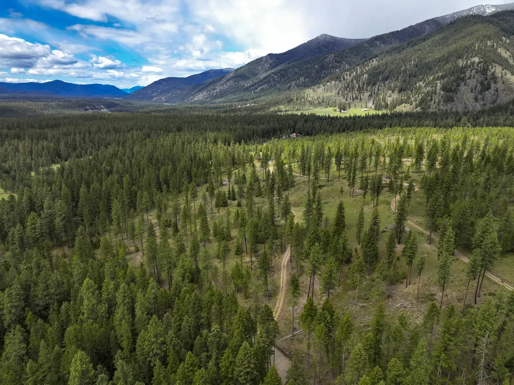 47 Dickson Drive Thompson Falls MT 59873