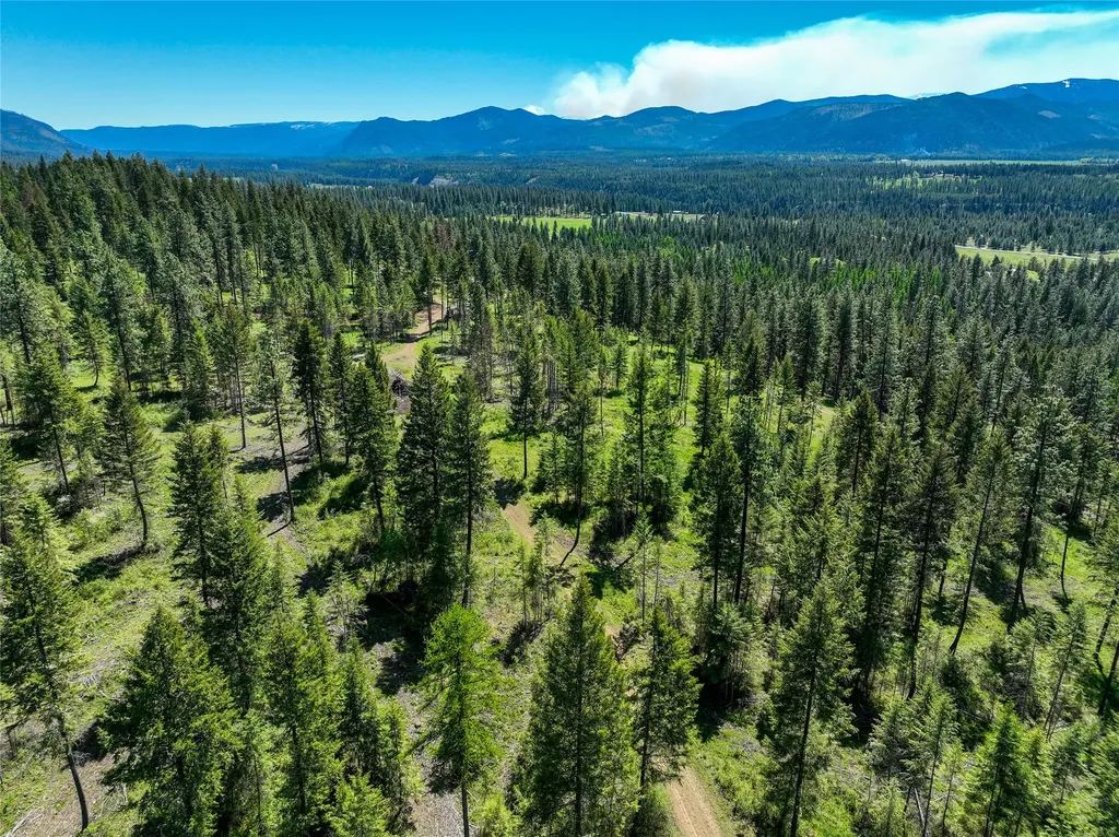 47 Dickson Drive Thompson Falls MT 59873