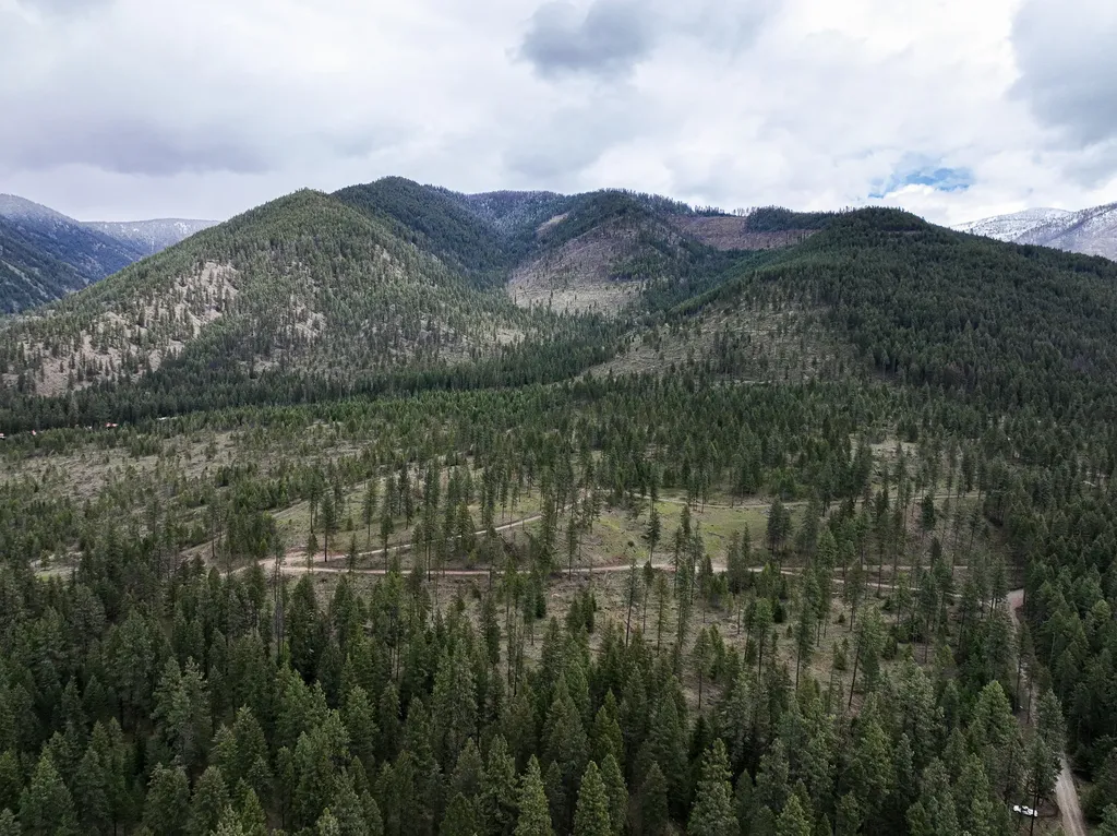 47 Dickson Drive Thompson Falls MT 59873