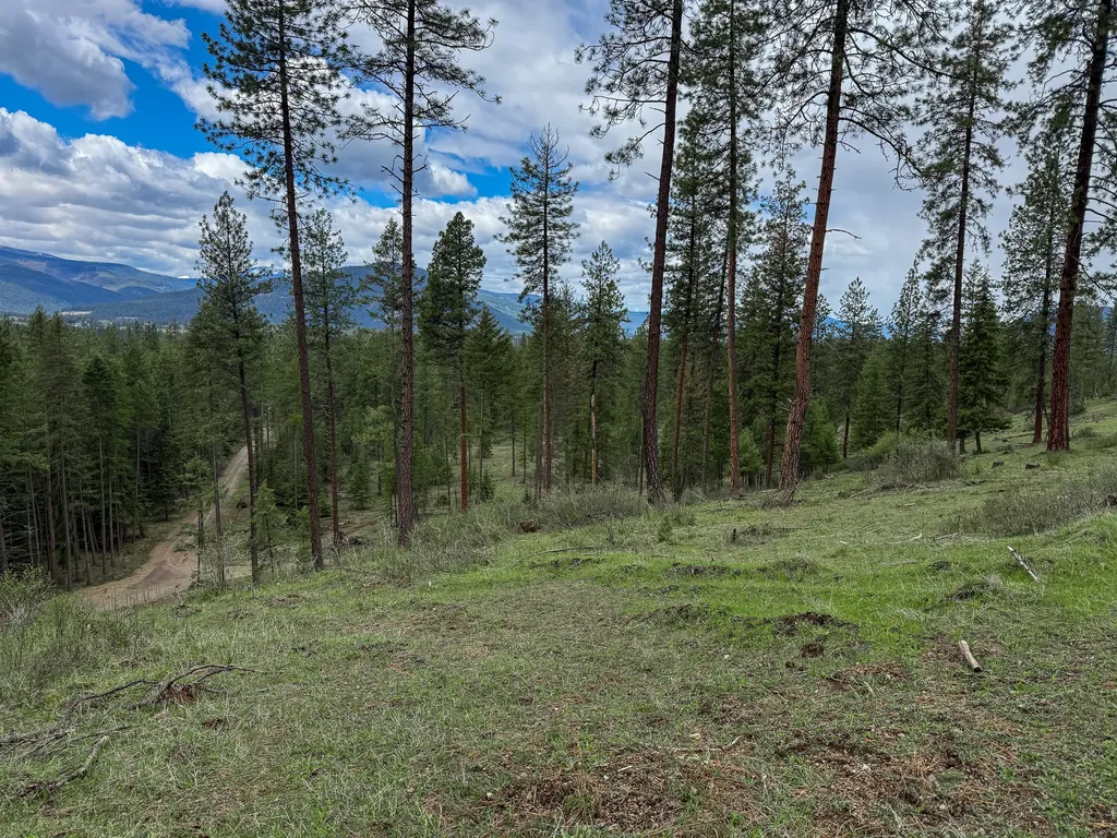 47 Dickson Drive Thompson Falls MT 59873