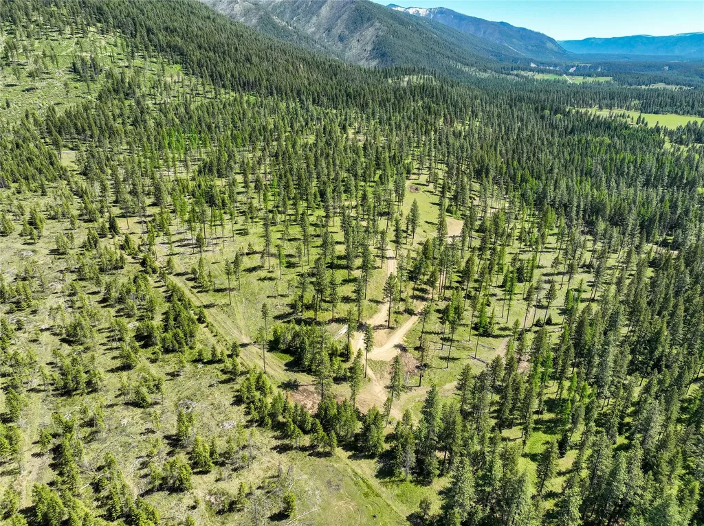 47 Dickson Drive Thompson Falls MT 59873