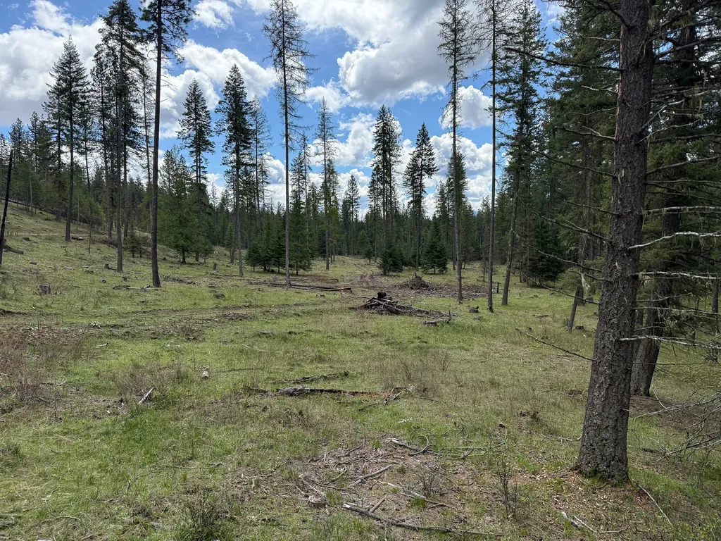 47 Dickson Drive Thompson Falls MT 59873
