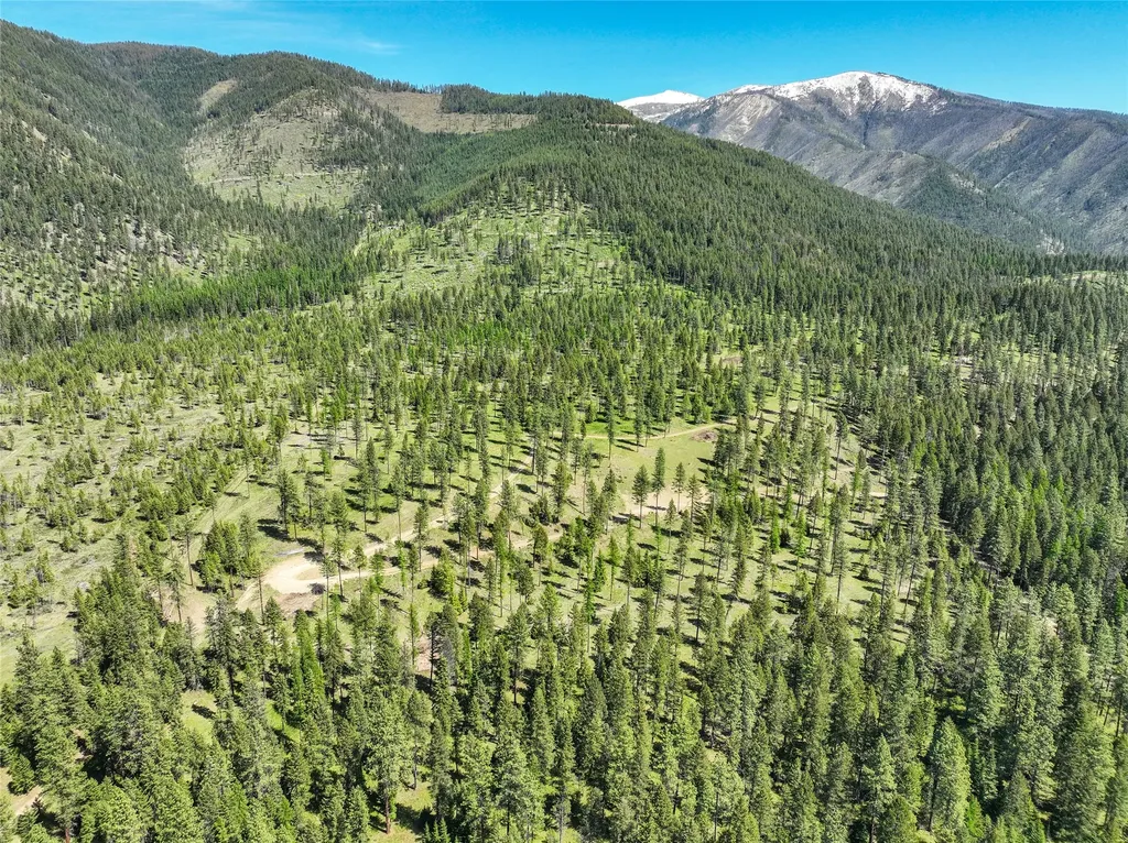 47 Dickson Drive Thompson Falls MT 59873
