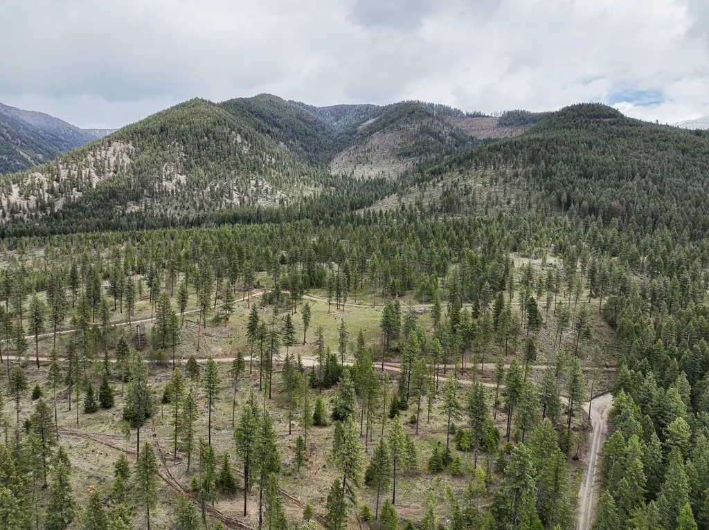 47 Dickson Drive Thompson Falls MT 59873