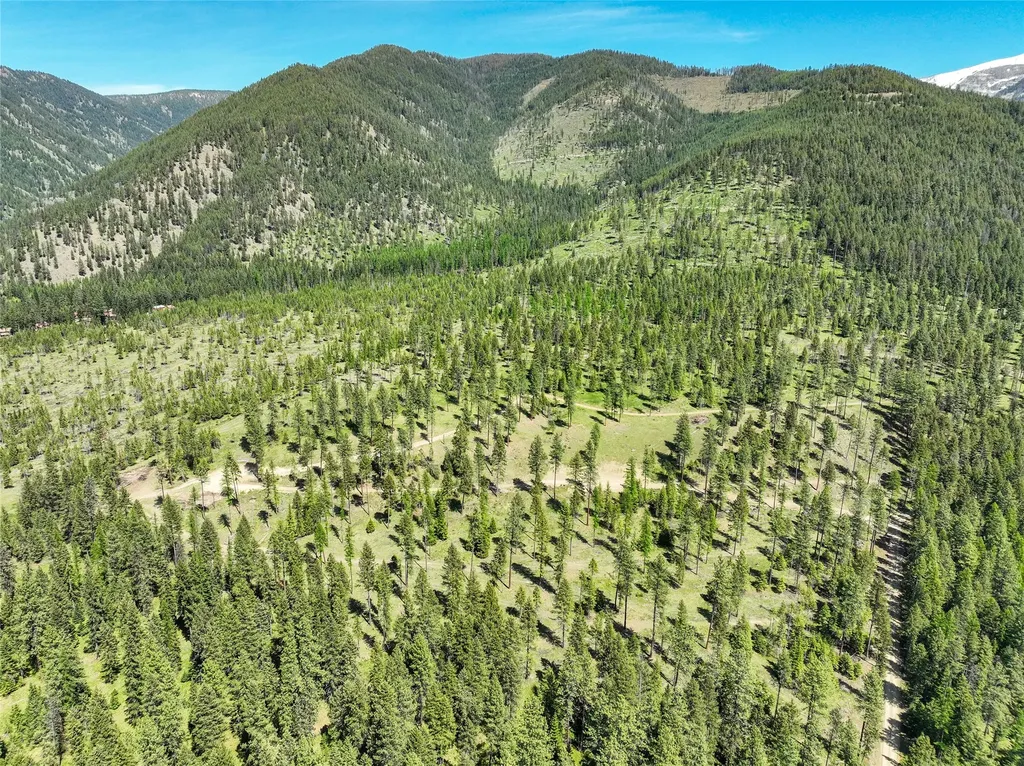 47 Dickson Drive Thompson Falls MT 59873