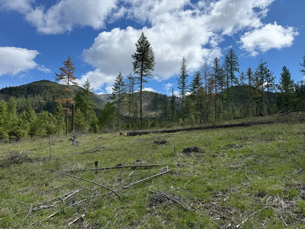 47 Dickson Drive Thompson Falls MT 59873