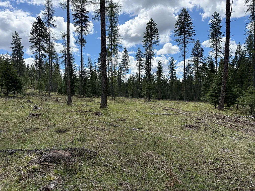47 Dickson Drive Thompson Falls MT 59873