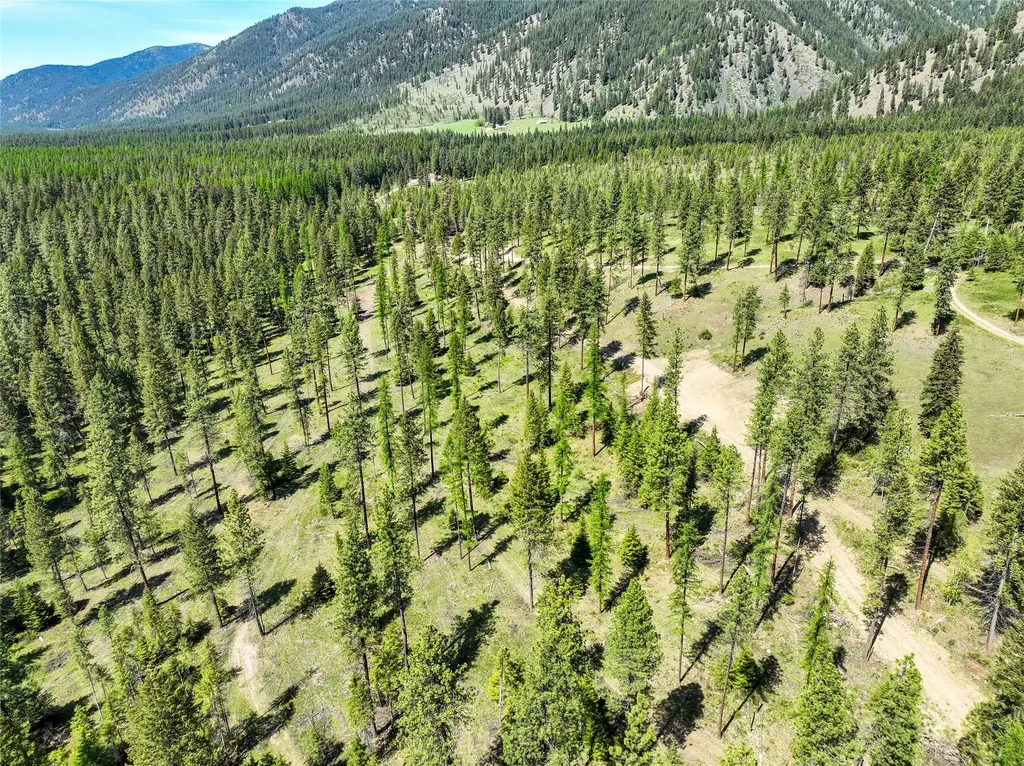 47 Dickson Drive Thompson Falls MT 59873