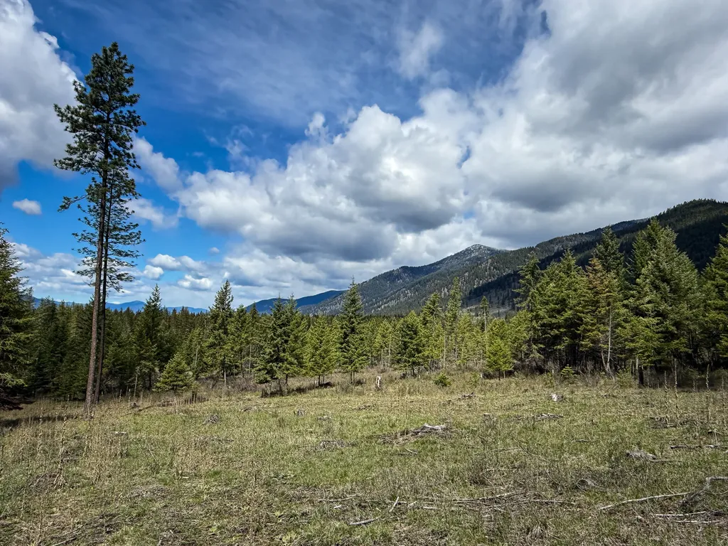 47 Dickson Drive Thompson Falls MT 59873