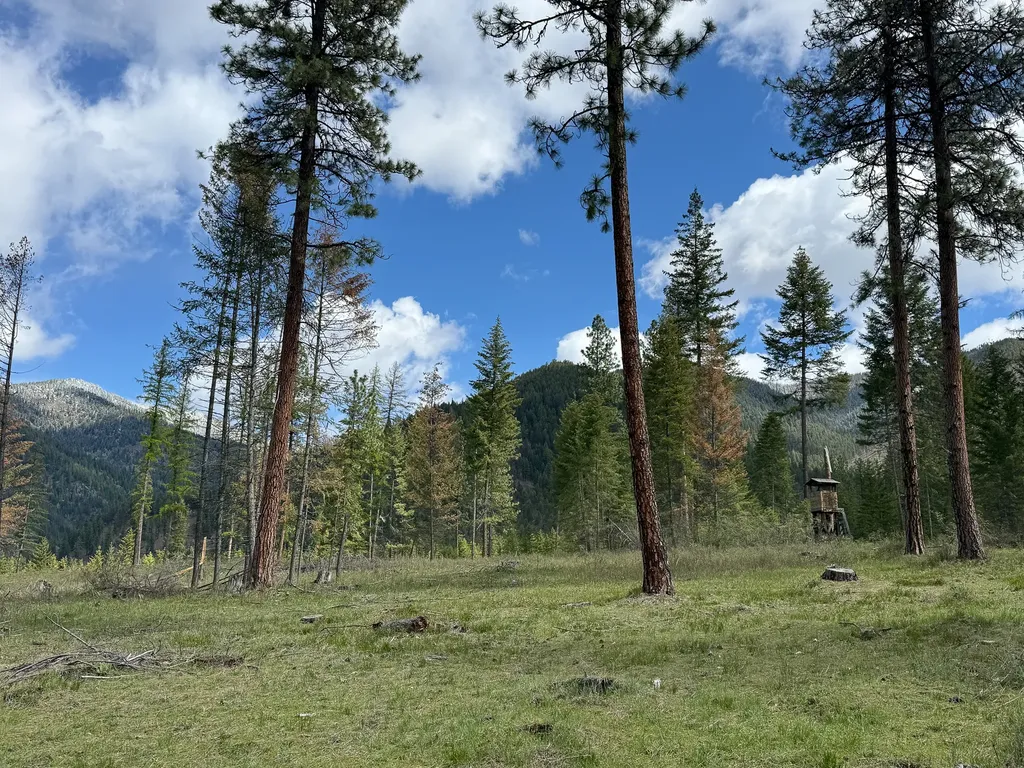 47 Dickson Drive Thompson Falls MT 59873
