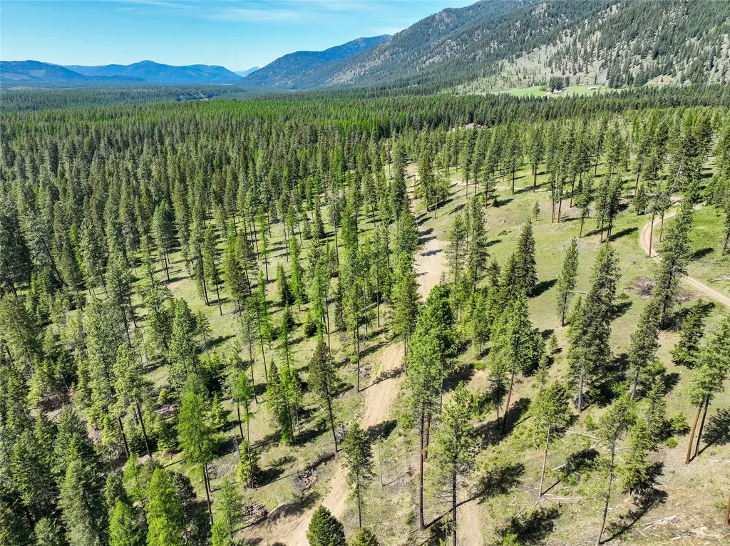 47 Dickson Drive Thompson Falls MT 59873