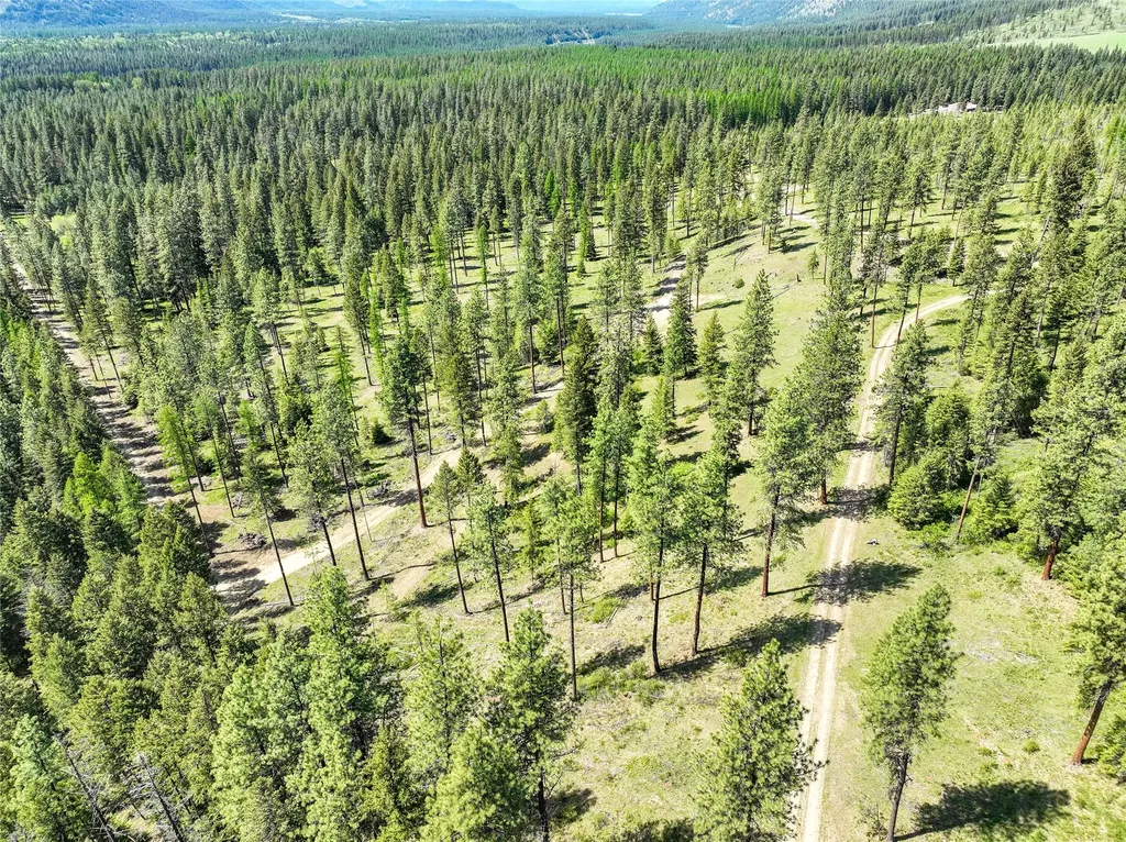 47 Dickson Drive Thompson Falls MT 59873