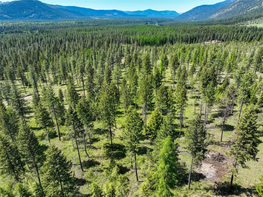 47 Dickson Drive Thompson Falls MT 59873