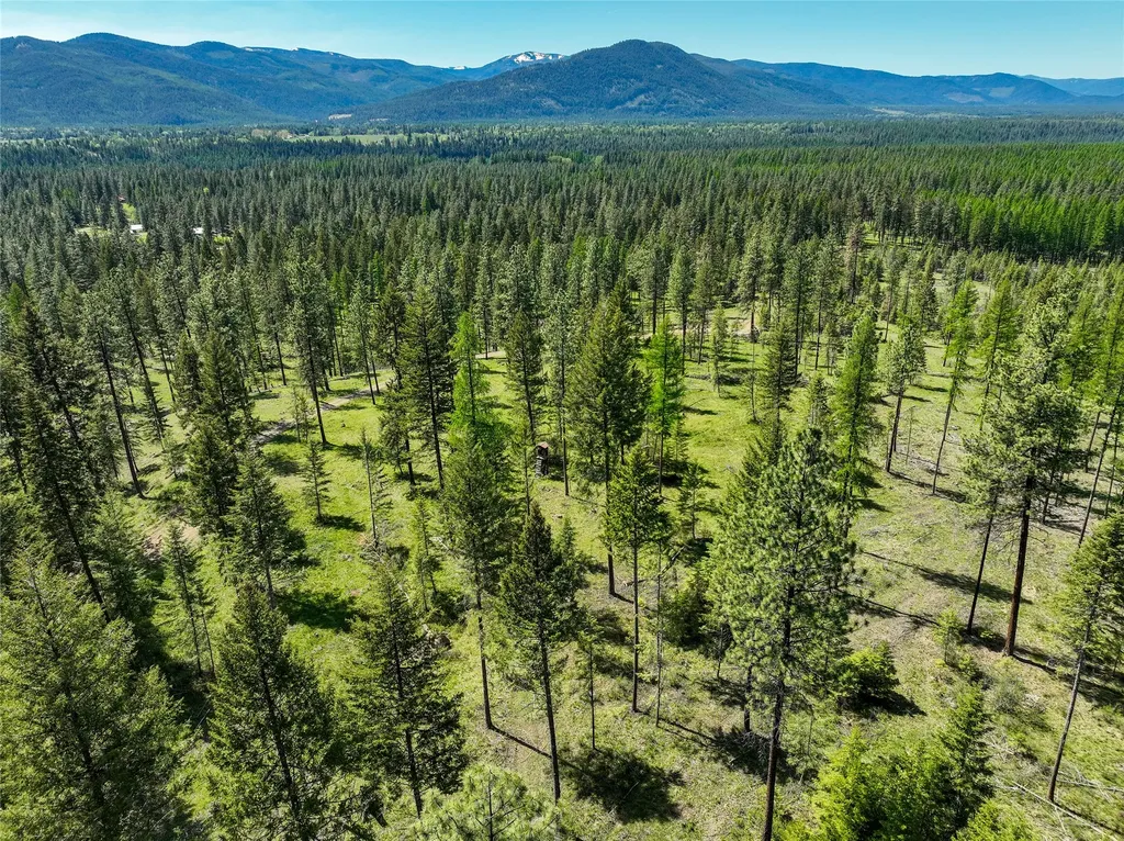 47 Dickson Drive Thompson Falls MT 59873