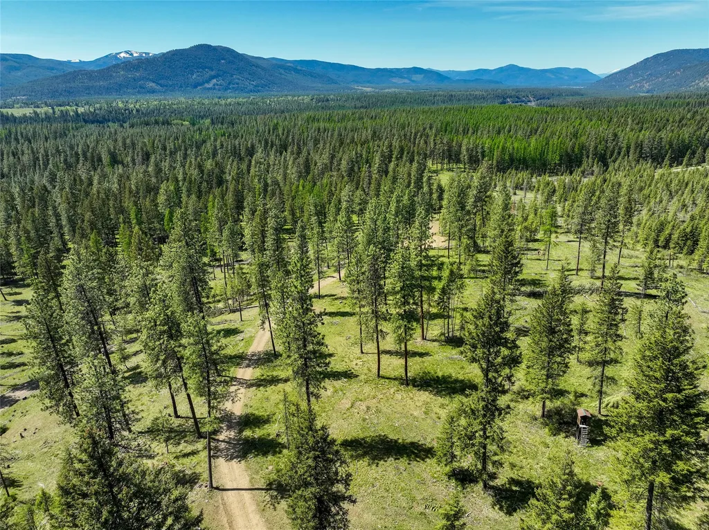47 Dickson Drive Thompson Falls MT 59873