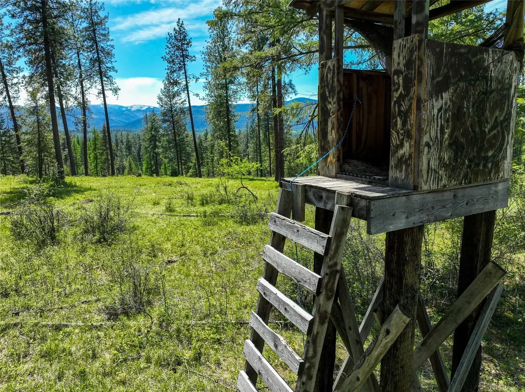 47 Dickson Drive Thompson Falls MT 59873