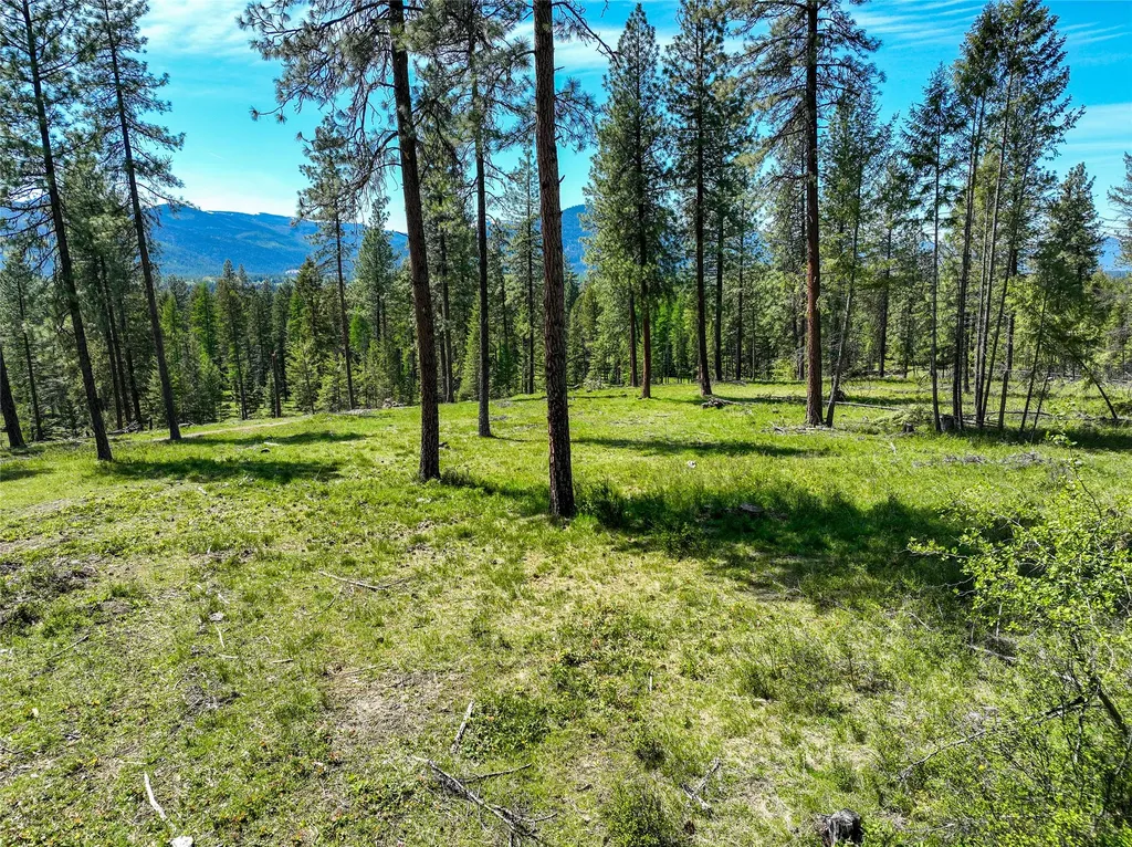 47 Dickson Drive Thompson Falls MT 59873