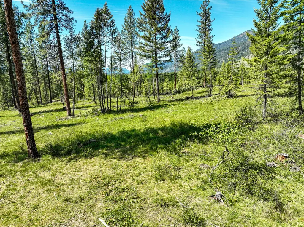 47 Dickson Drive Thompson Falls MT 59873