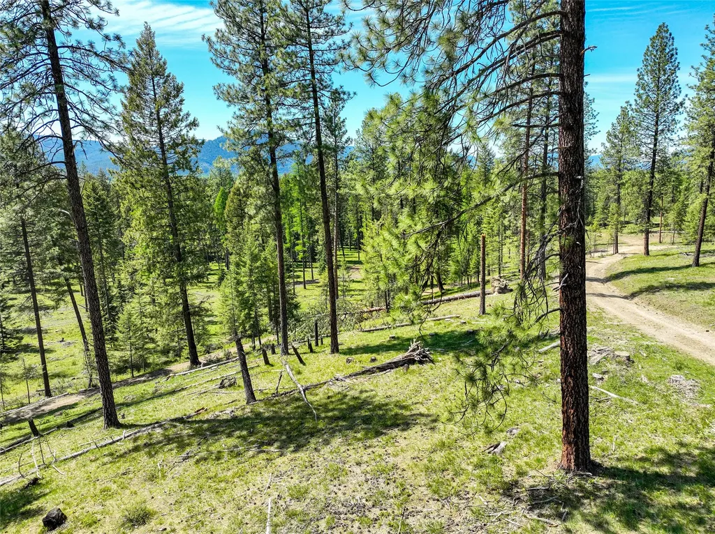 47 Dickson Drive Thompson Falls MT 59873