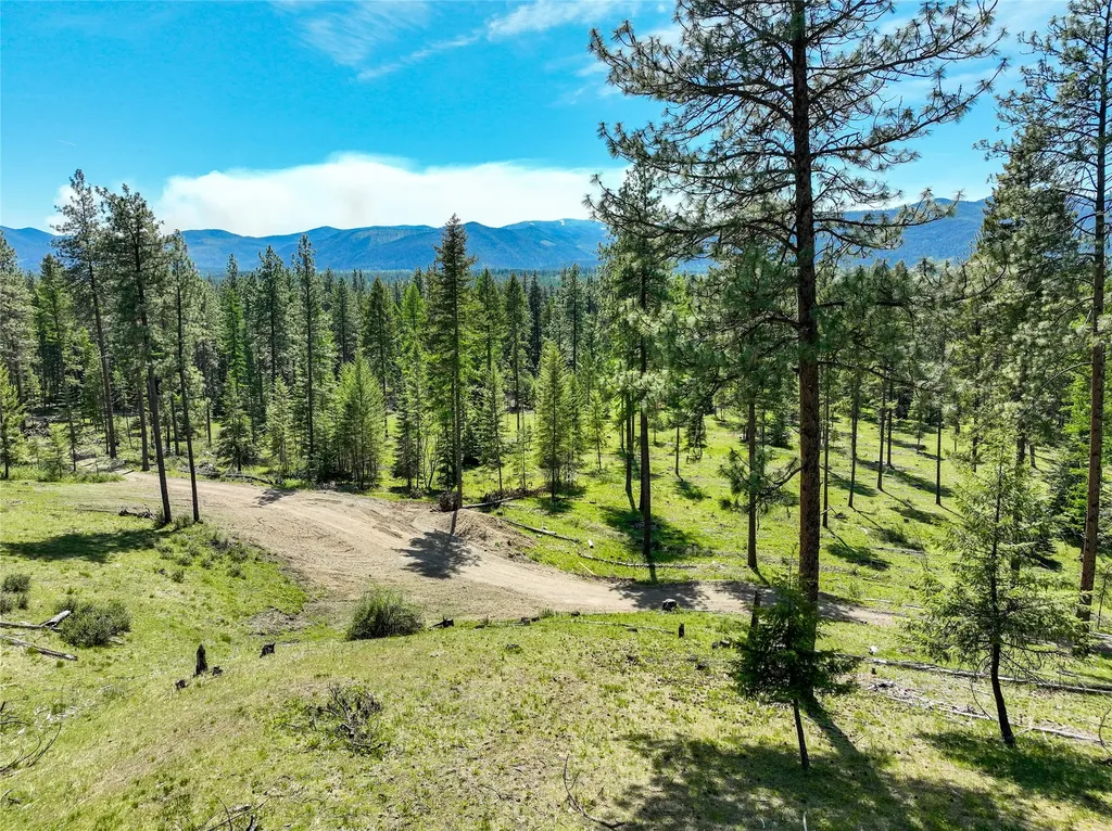 47 Dickson Drive Thompson Falls MT 59873