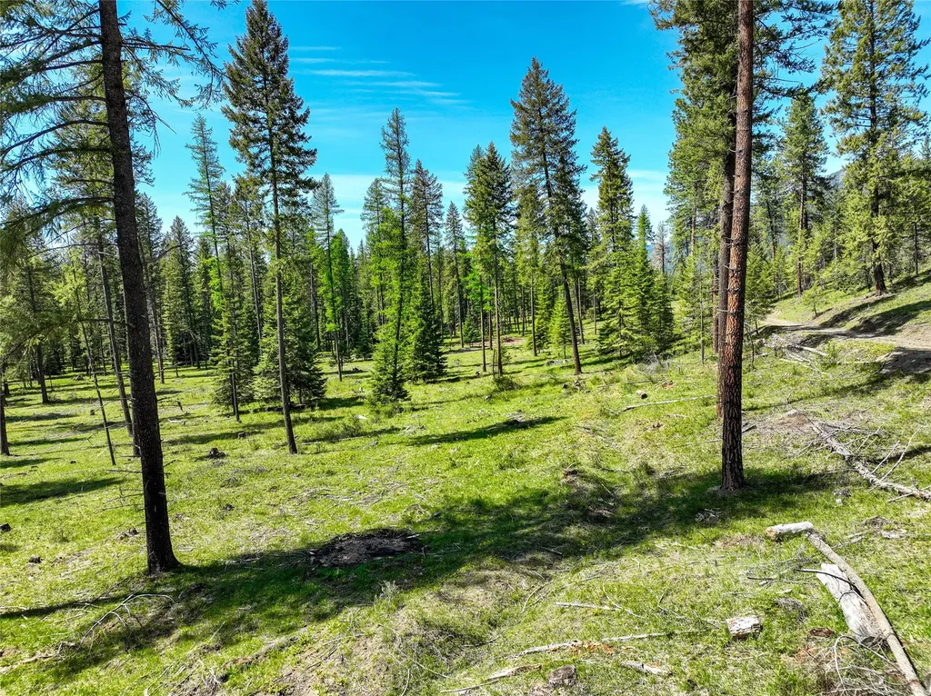 47 Dickson Drive Thompson Falls MT 59873