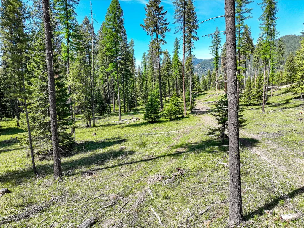 47 Dickson Drive Thompson Falls MT 59873