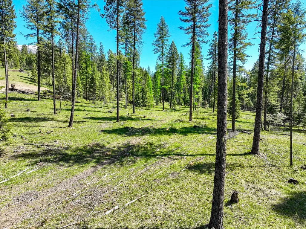 47 Dickson Drive Thompson Falls MT 59873