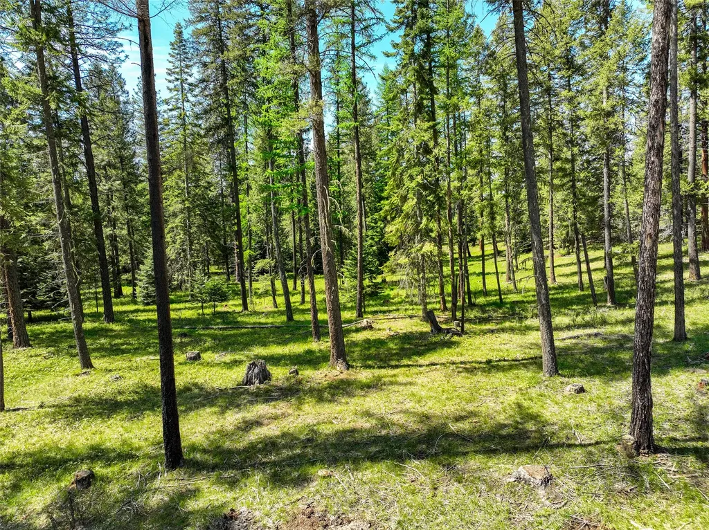 47 Dickson Drive Thompson Falls MT 59873