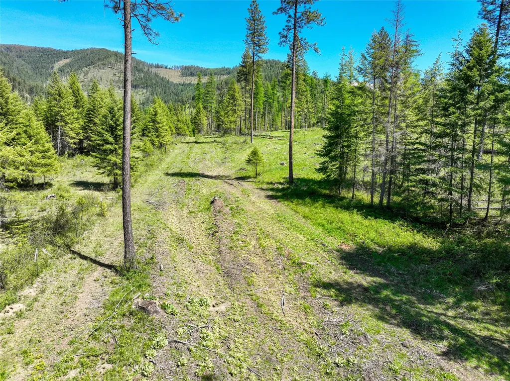 47 Dickson Drive Thompson Falls MT 59873