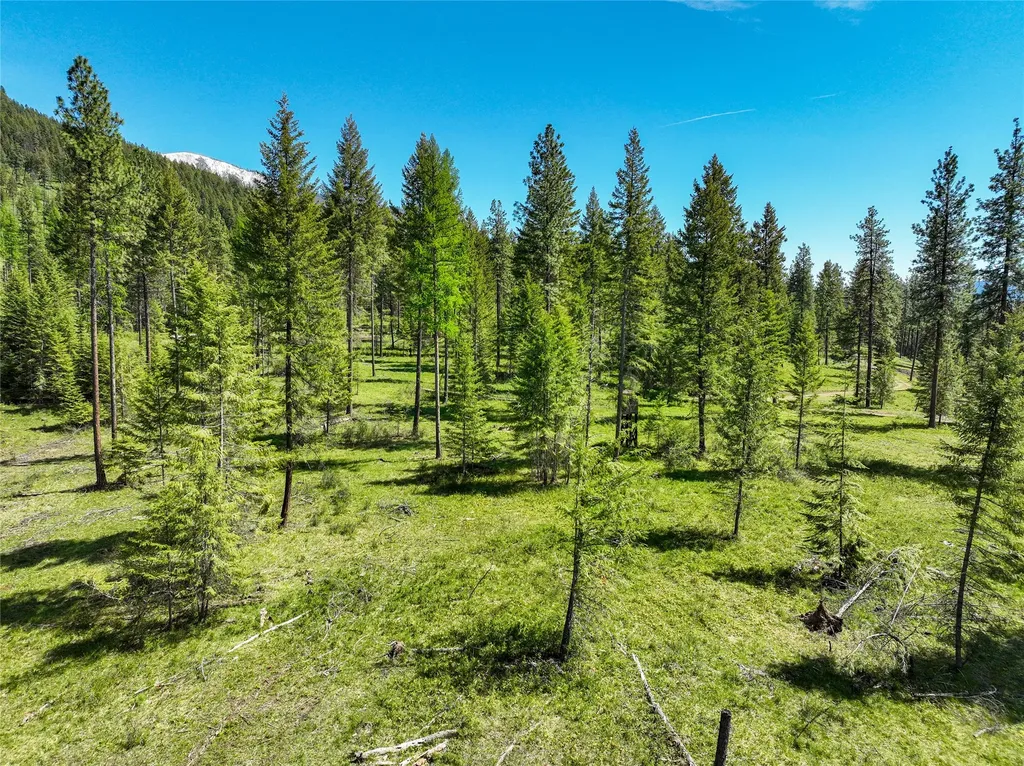 47 Dickson Drive Thompson Falls MT 59873