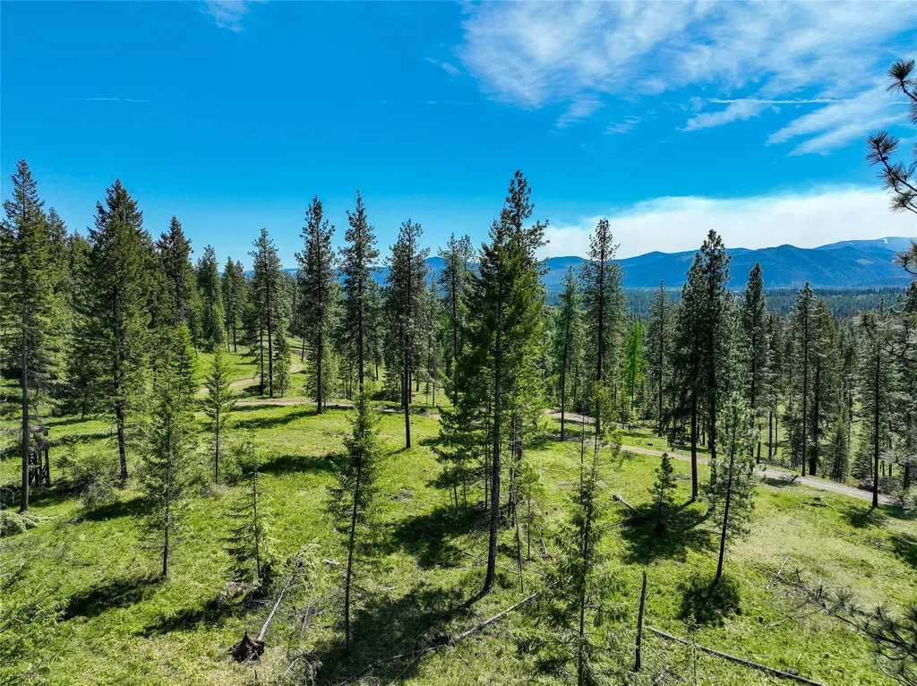 47 Dickson Drive Thompson Falls MT 59873