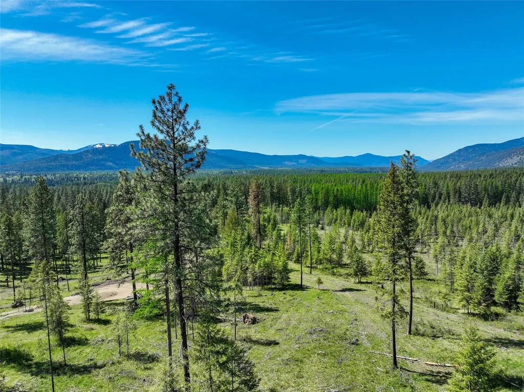 47 Dickson Drive Thompson Falls MT 59873