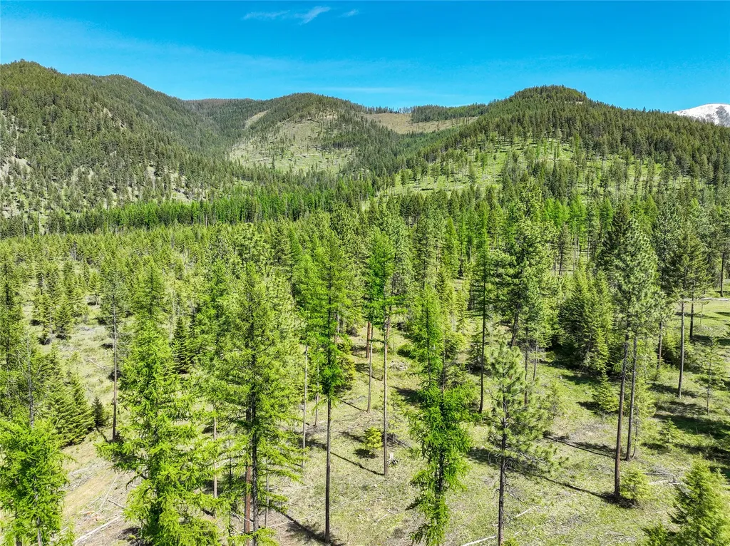 47 Dickson Drive Thompson Falls MT 59873