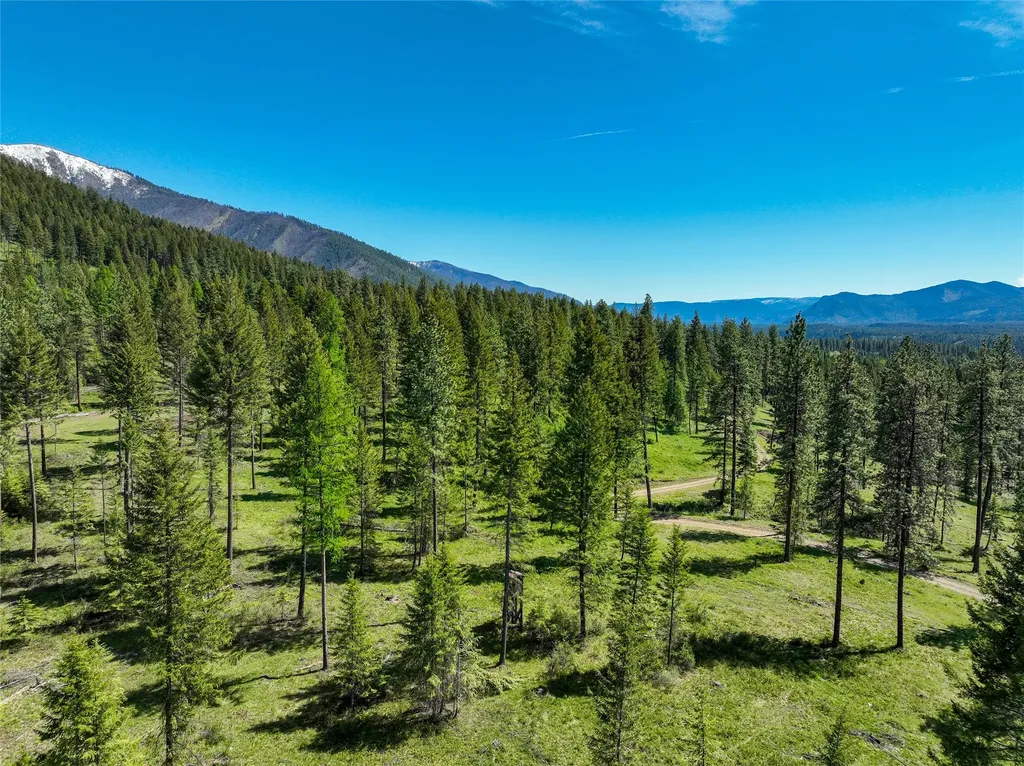 47 Dickson Drive Thompson Falls MT 59873