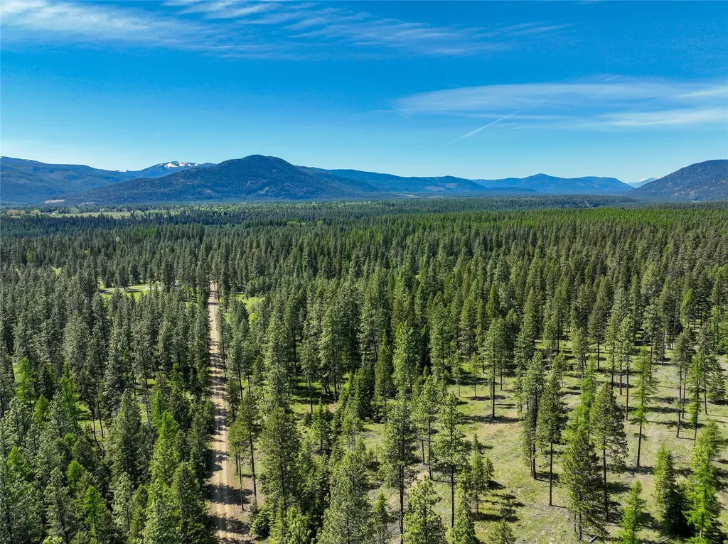 47 Dickson Drive Thompson Falls MT 59873