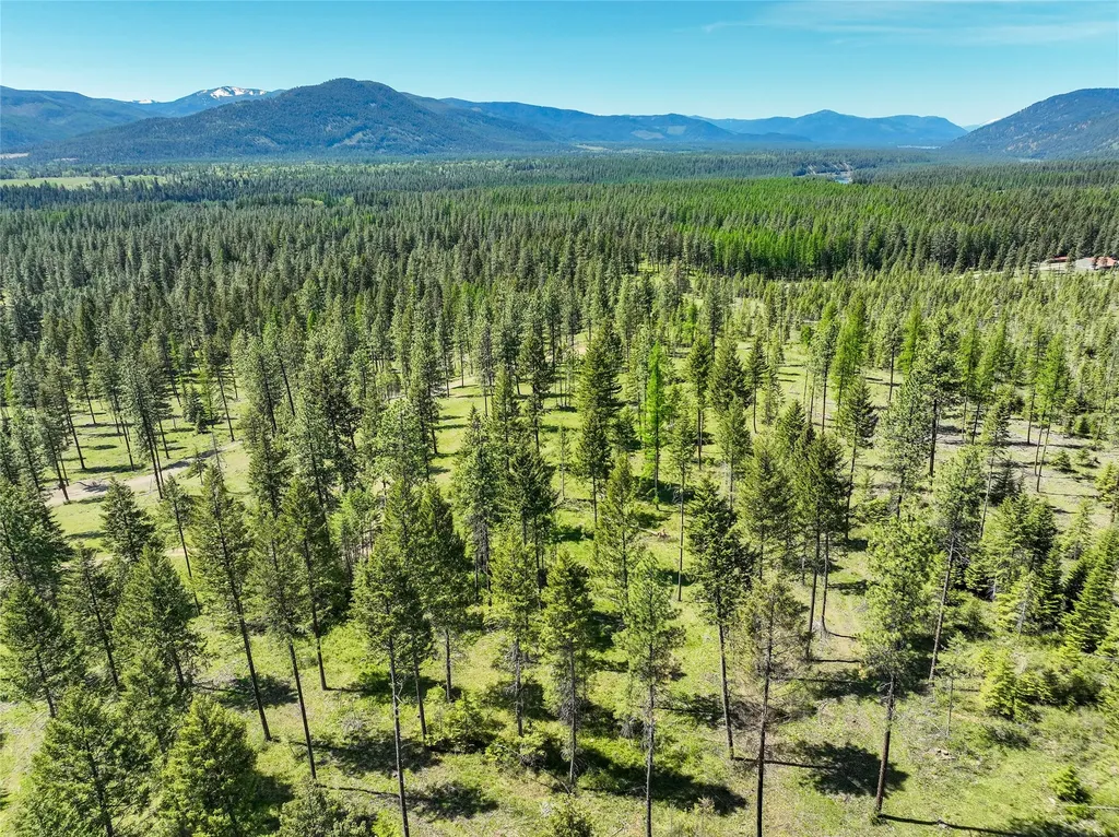 47 Dickson Drive Thompson Falls MT 59873